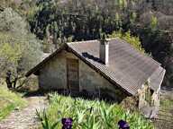 SOUS COMPROMIS - VALDEBLORE MAISON 94M² + GRANGES TERRAIN 9246 — photo 4