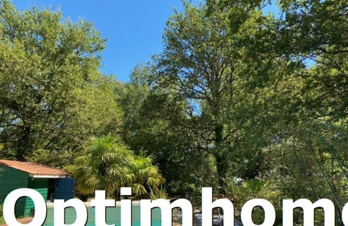 Bien rare dans la métropôle,  Propriete de 3 000 m² — photo 5