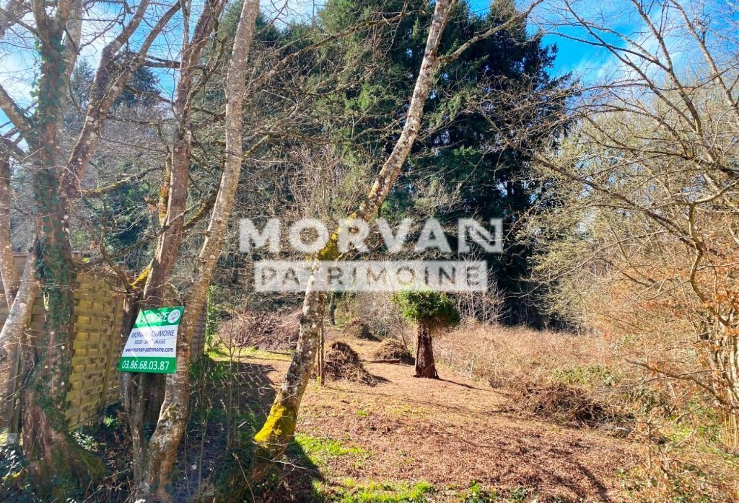 Saint Saulge — photo 1