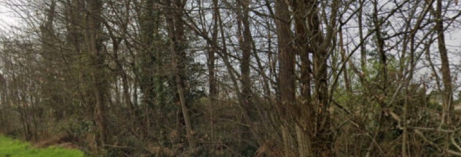 Terrain  702 m² à vendre à Fargues (33210)