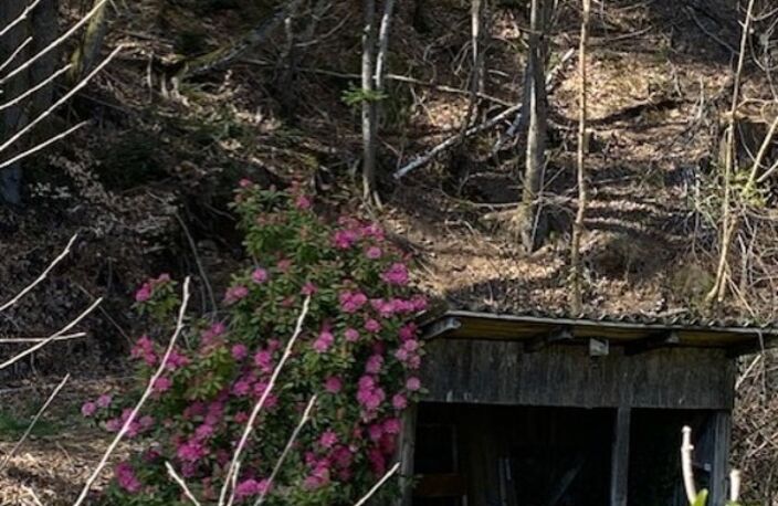 RARE:  Moulin auvergnat authentique au bord d'un ruisseau — photo 5