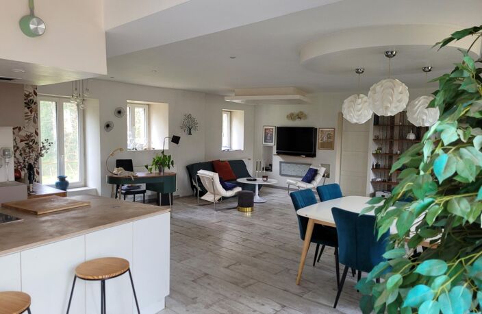 MEAULNE ( 03 )  Magnifique Propriété à vendre 10 pièces 365m2 Terrain 4179m2 — photo 4