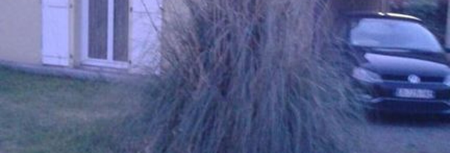 Maison 7 Pièces 165 m² à louer à Denguin (64230)