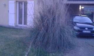 Maison 7 Pièces 165 m² à louer à Denguin (64230)