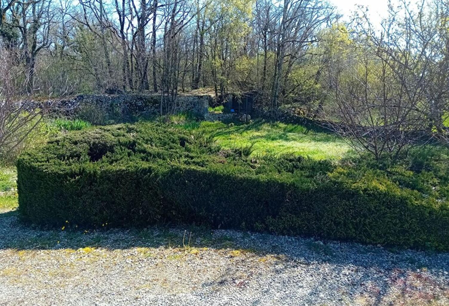 Maison  3 pièce  60 m2 et dépendances — photo 1