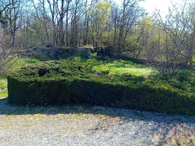 Maison  3 pièce  60 m2 et dépendances — photo du bien