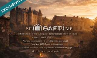 Immeuble  400 m² à vendre à Sillé-le-Guillaume (72140)