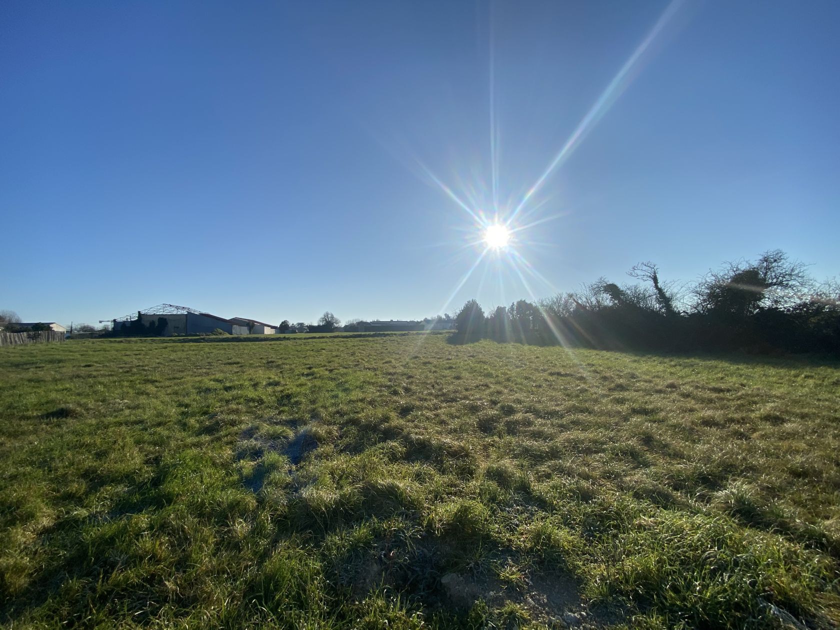 Terrain  à vendre Forges 17290