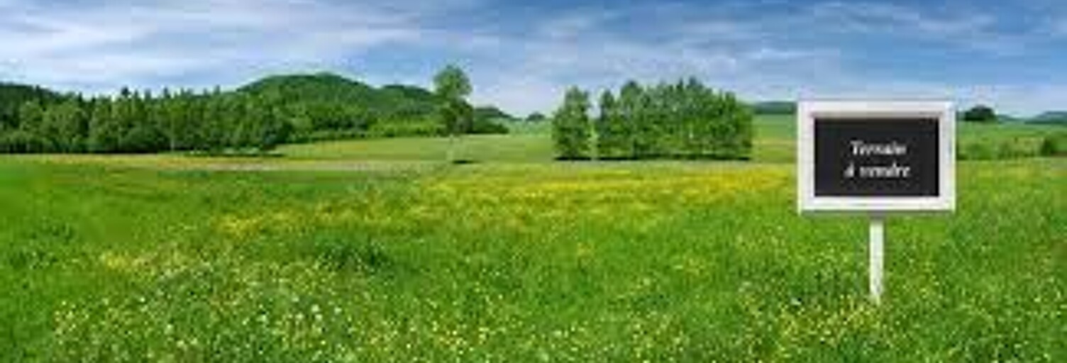 Terrain 440 m² à construire Évry-Grégy-sur-Yerre (77166)