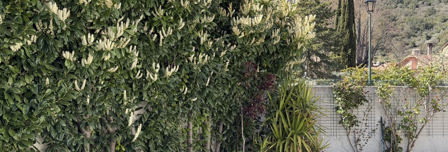 Maison 4 Pièces 110 m² à vendre à Signes (83870)