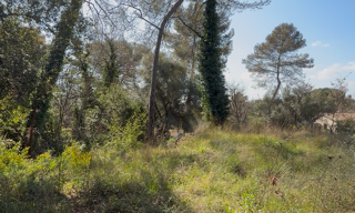 Terrain 1584 m² à construire Roquefort-les-Pins (06330)