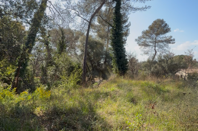 Terrain  549000 €
