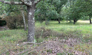 Terrain  563 m² à vendre à Maureillas-las-Illas (66480)