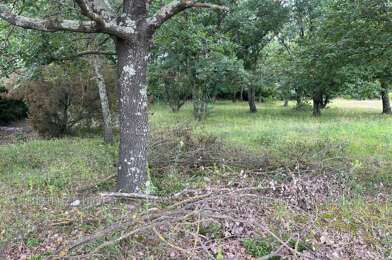 Terrain  119900 €