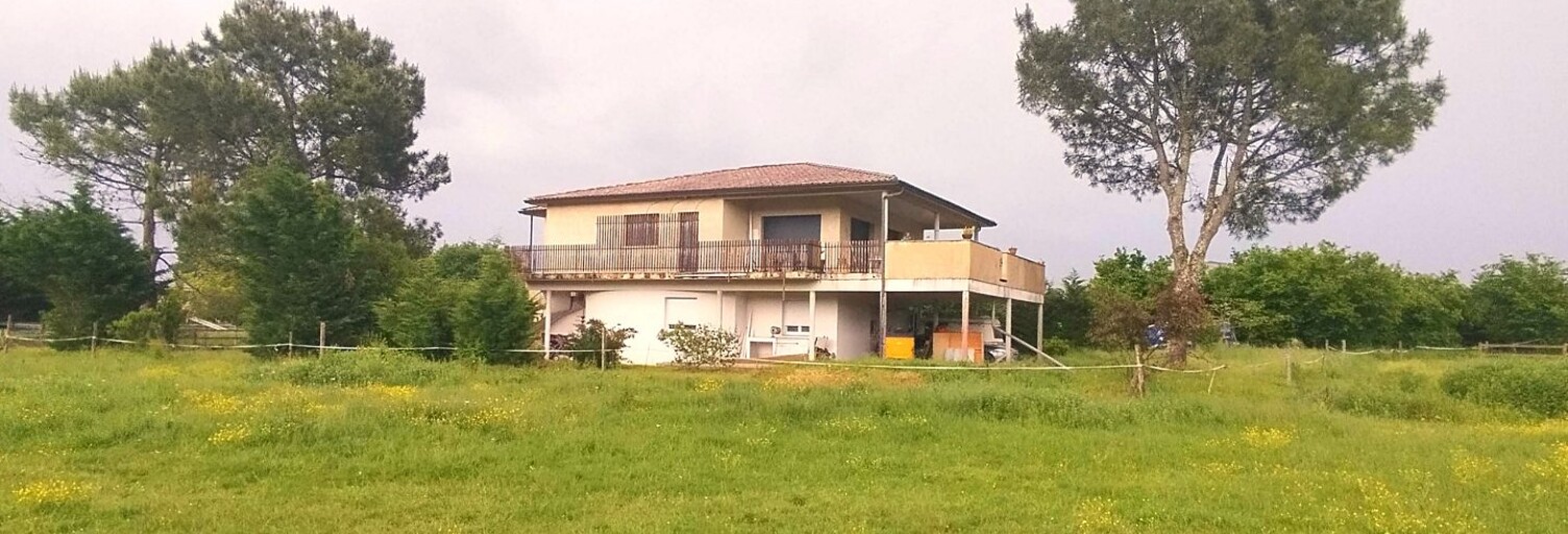 Photo N° 2