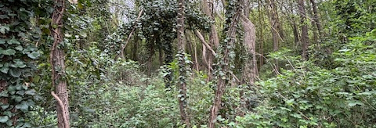 Terrain  2170 m² à vendre à Pertuis (84120)