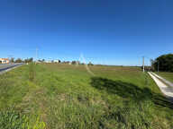 Terrain Aubiet 33000 m2 — photo 3