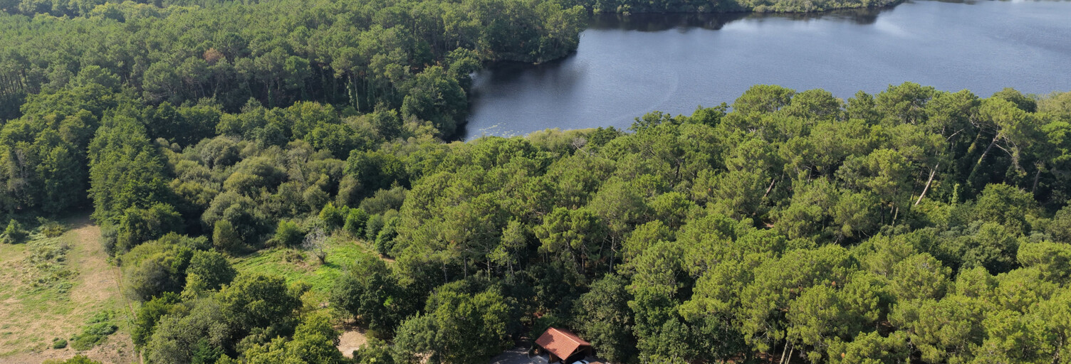 Maison 9 Pièces 227 m² à vendre à Messanges (40660)