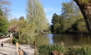 Photo N° 2