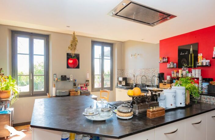 Vente maison 11 pièces 390 m² Cintegabelle (31550) — photo 5