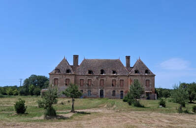 CHATEAU A RENOVER — photo du bien