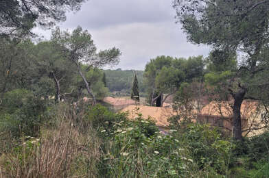 Terrain  266000 €