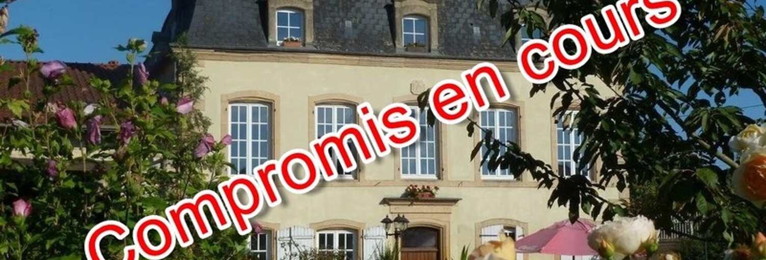 Maison 15 Pièces 545 m² à vendre à Mouzay (55700)