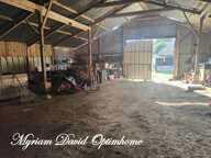   Opportunité à Glomel – Hangar agricole   — photo 3