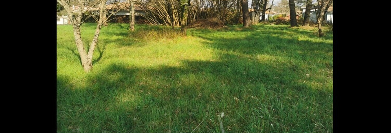 Terrain  376 m² à vendre à Belin-Béliet (33830)