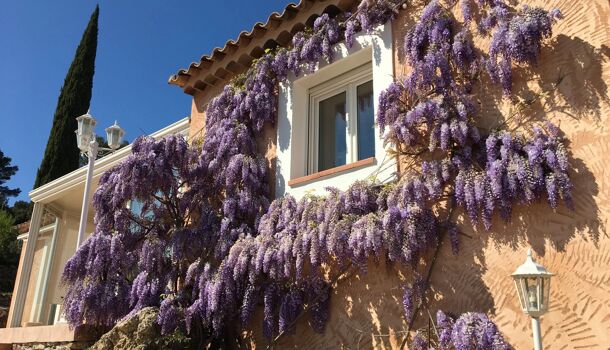 Villa / Maison 4 pièces  à vendre Cotignac 83570