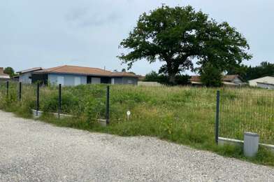 Terrain  215000 €
