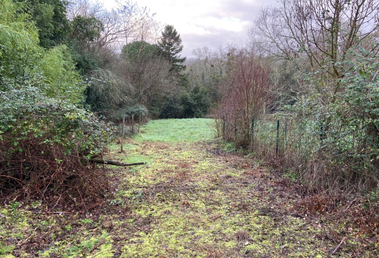 Terrain à bâtir à Le Teich (33470) — photo 1