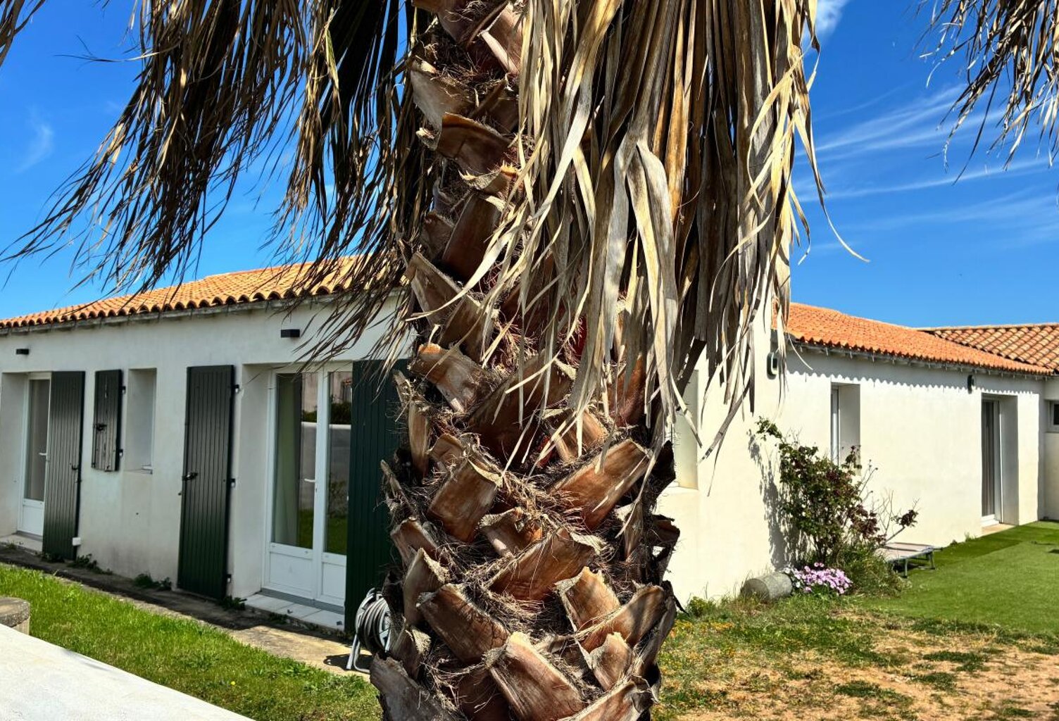Immobilier ile de Ré - Loix — photo 1