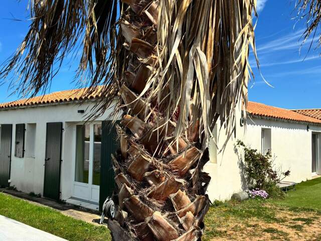 Immobilier ile de Ré - Loix — photo du bien