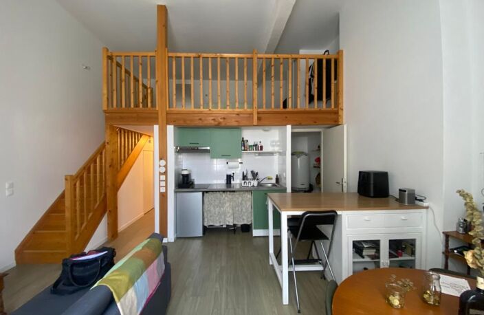 Charmant T1 bis avec mezzanine et parking privé – Quartier Sainte-Croix — photo 3