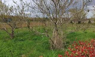 Terrain  450 m² à vendre à Châtillon-sur-Cher (41130)