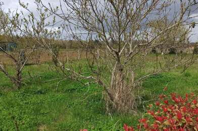 Terrain  18000 €