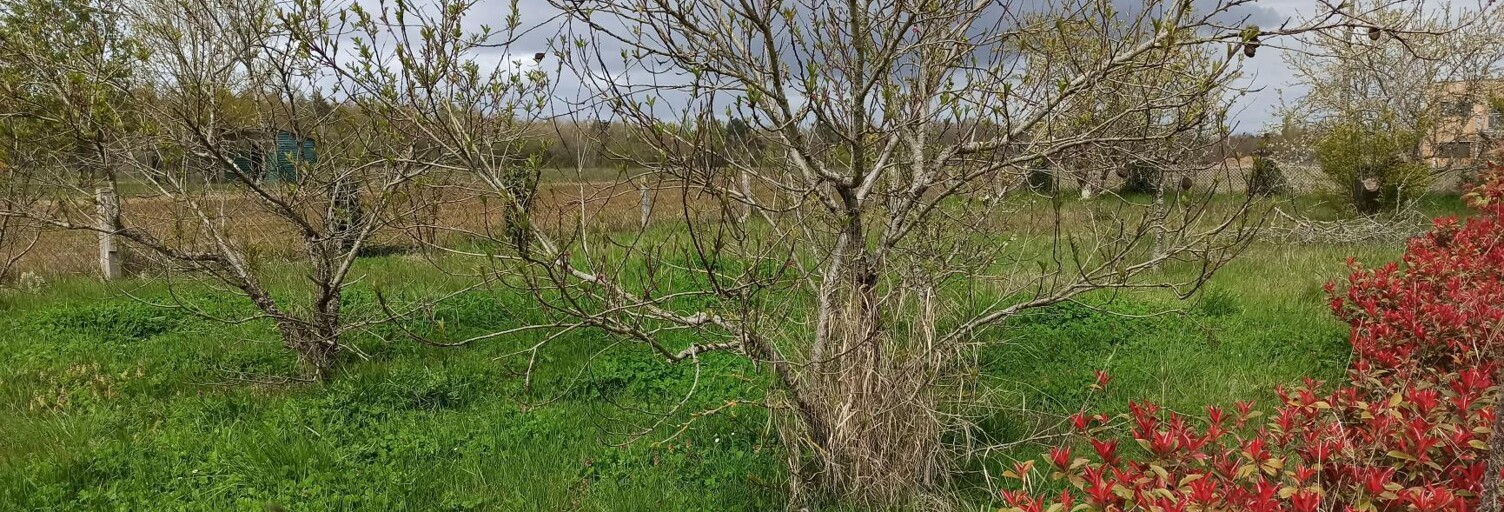 Terrain  450 m² à vendre à Châtillon-sur-Cher (41130)