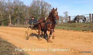 Commerce 5 Pièces 100 m² à vendre à La Ferté-Bernard (72400)