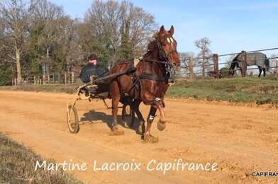 Commerce 5 pièces 460000 €