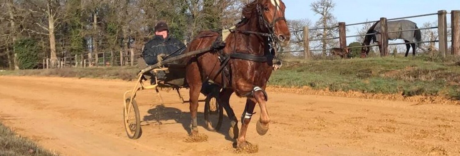 Commerce 5 Pièces 100 m² à vendre à La Ferté-Bernard (72400)