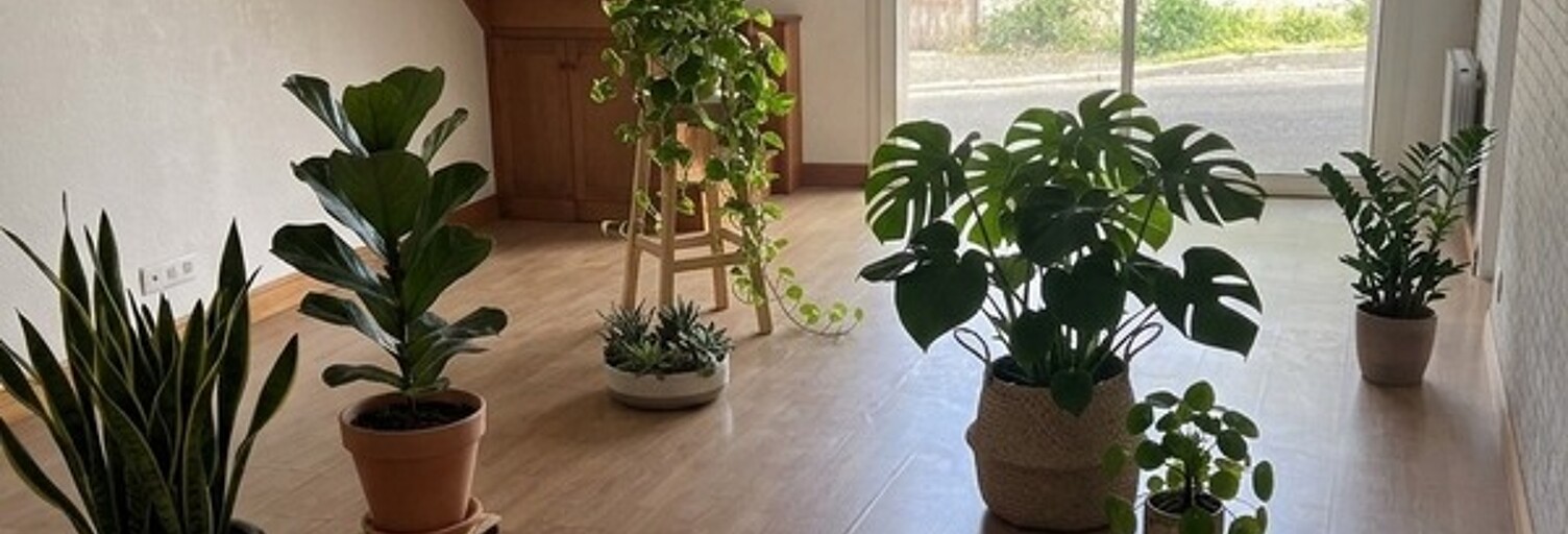 Maison 4 Pièces 99 m² à vendre à Pons (17800)