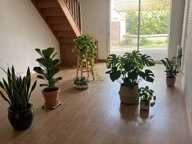 Maison à vendre 4 pièces PONS (17) — photo 3