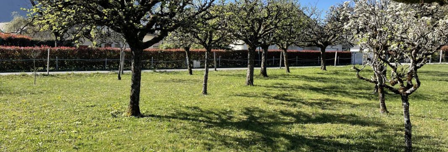 Maison 133 m² à construire Saint-Jorioz (74410)