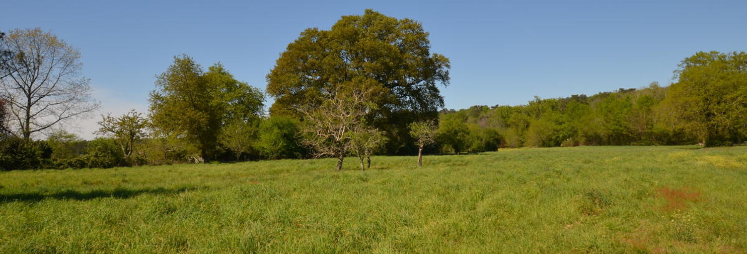 Terrain  4522 m² à vendre à Montpon-Ménestérol (24700)