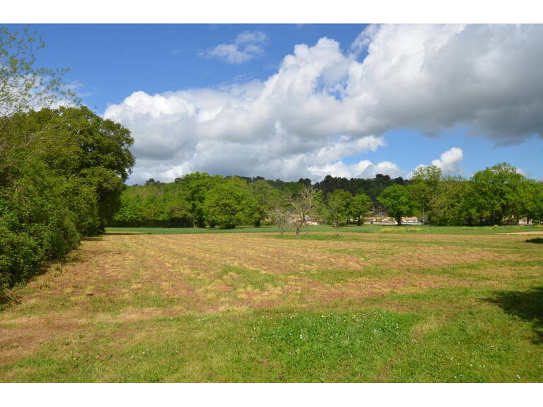 Terrain — photo 1