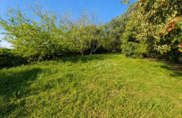 Charmante longère à Erdeven proche plages — photo 2
