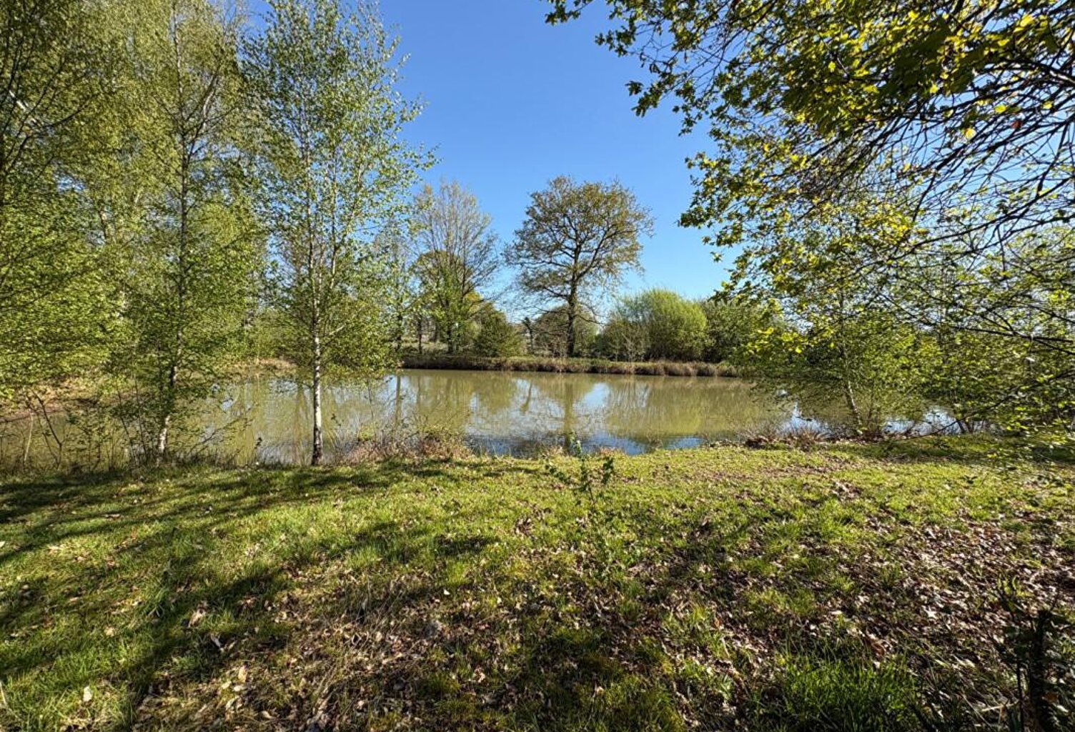 Terrain de loisirs — photo 1