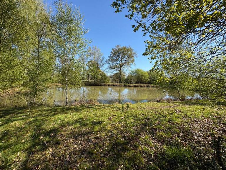 Terrain de loisirs — photo 1
