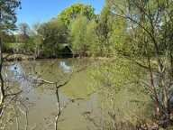 Terrain de loisirs — photo 3